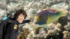 Andy's Aquatic Adventures