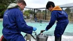 Steve and Aneeshwar Go Wild