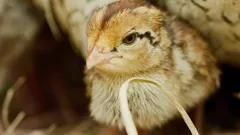 Andy's Global Adventures