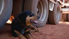 Outback Truckers