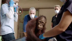 Equator From The Air