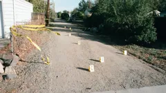 Bloodline Detectives