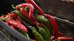 America the Bountiful