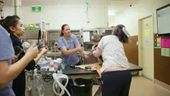 Operation Pet Rescue