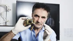 The Supervet