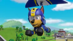 Paw Patrol