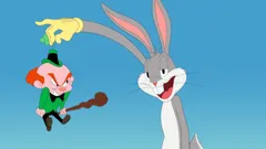 Looney Tunes Cartoons