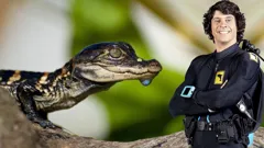 Andy's Global Adventures