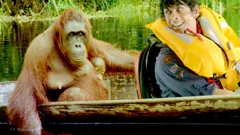 Andy's Wild Adventures
