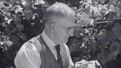 Christmas Under The Sun