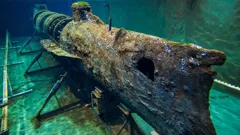 Mysteries Of The Deep