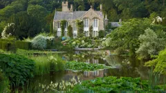 The Art Of The Garden