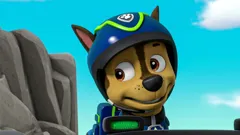 PAW Patrol