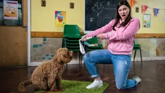 Waffle the Wonder Dog