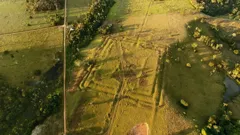 Secrets In The Jungle