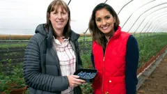 Supermarket Secrets Revealed