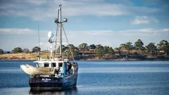 Giant Lobster Hunters