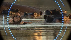 Andy's Wild Adventures