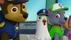 PAW Patrol