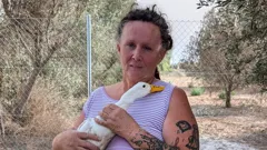 Bargain-Loving Brits in the Sun