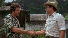 Magnum, P.I.