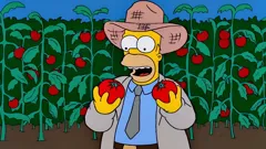 The Simpsons