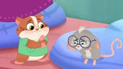 Vida the Vet