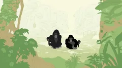 Peek Zoo (As Gaeilge)