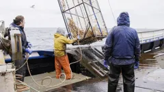 Deadliest Catch