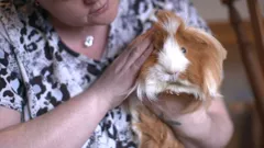 **Visually Signed**The Highland Vet