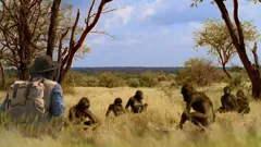 Andy's Prehistoric Adventures