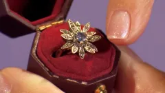 Dickinson's Real Deal