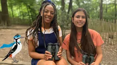 Teeny Tiny Creatures with Chantelle and Rory