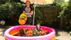 Waffle the Wonder Dog