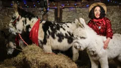 Christmas on Mistletoe Farm