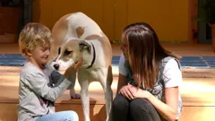 The Dog House Australia