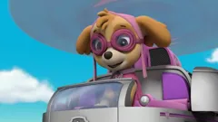 PAW Patrol