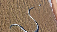 Mysteries From Above