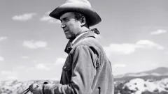 The Man from Laramie