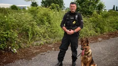 Police Interceptors