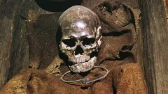 Mysteries Of The Deep