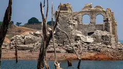 Discovered By Disaster