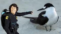 Andy's Aquatic Adventures