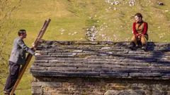 All Creatures Great and Small