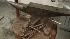 Salvage Dawgs
