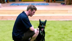 The Dog House Australia
