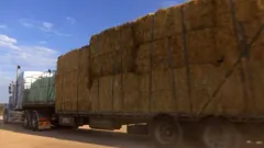 Outback Truckers