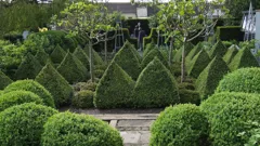 Love Your Home and Garden