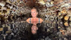 Jasmine Harman's Renovation in...