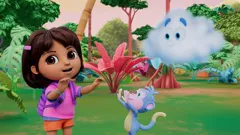 DORA